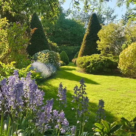 Courtyard *