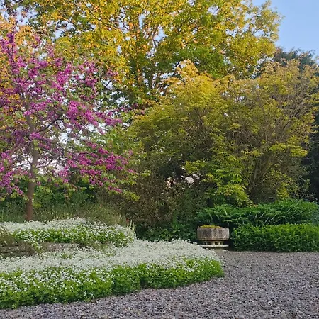 Courtyard 度假居