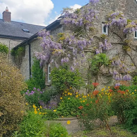 Courtyard *
